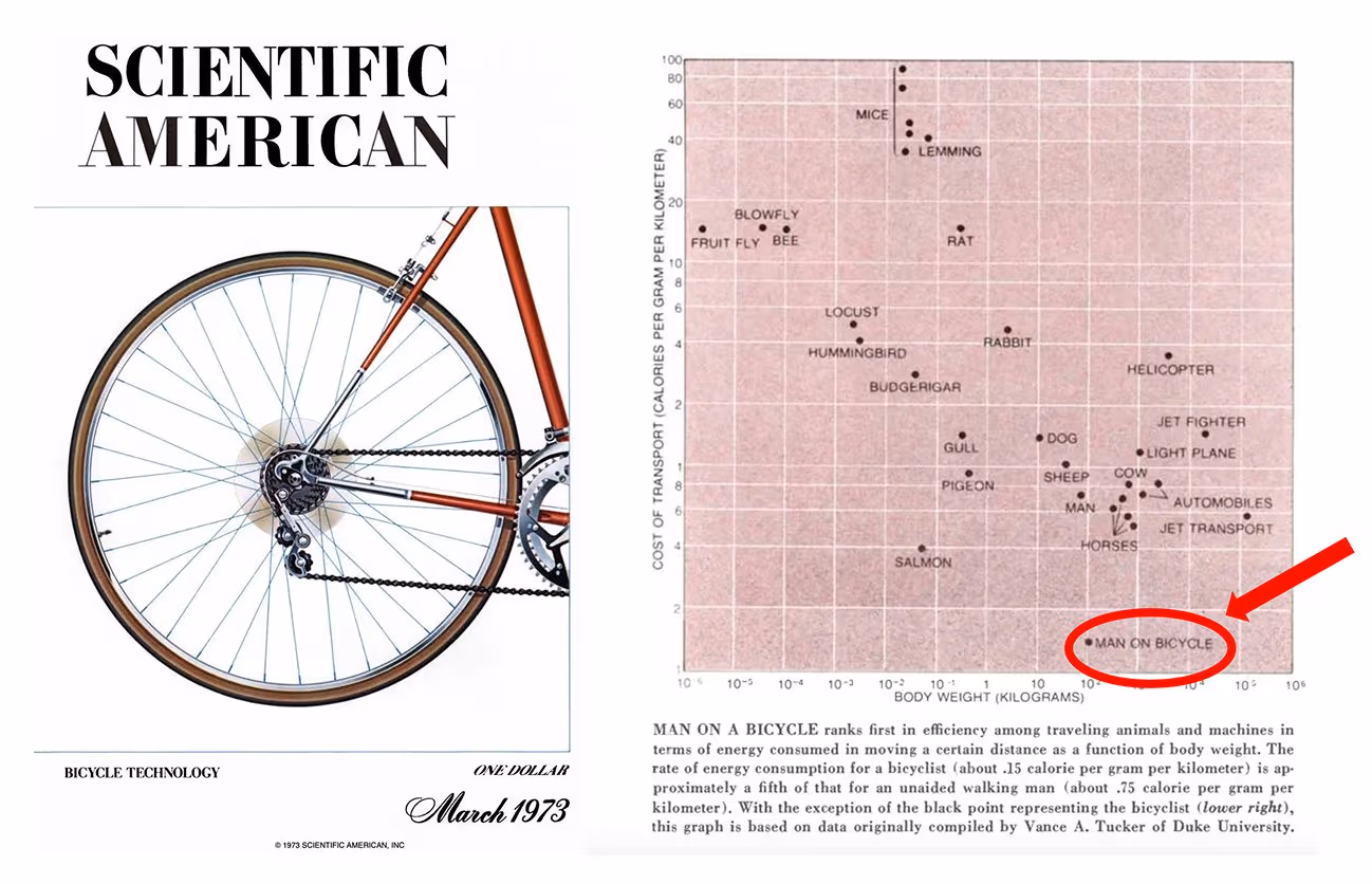 A 1970s Scientific American study on locomotion efficiency inspired Steve Jobs's famous 'bicycle for the mind' metaphor. Except we've been pedaling on the Information Superhighway for decades since.