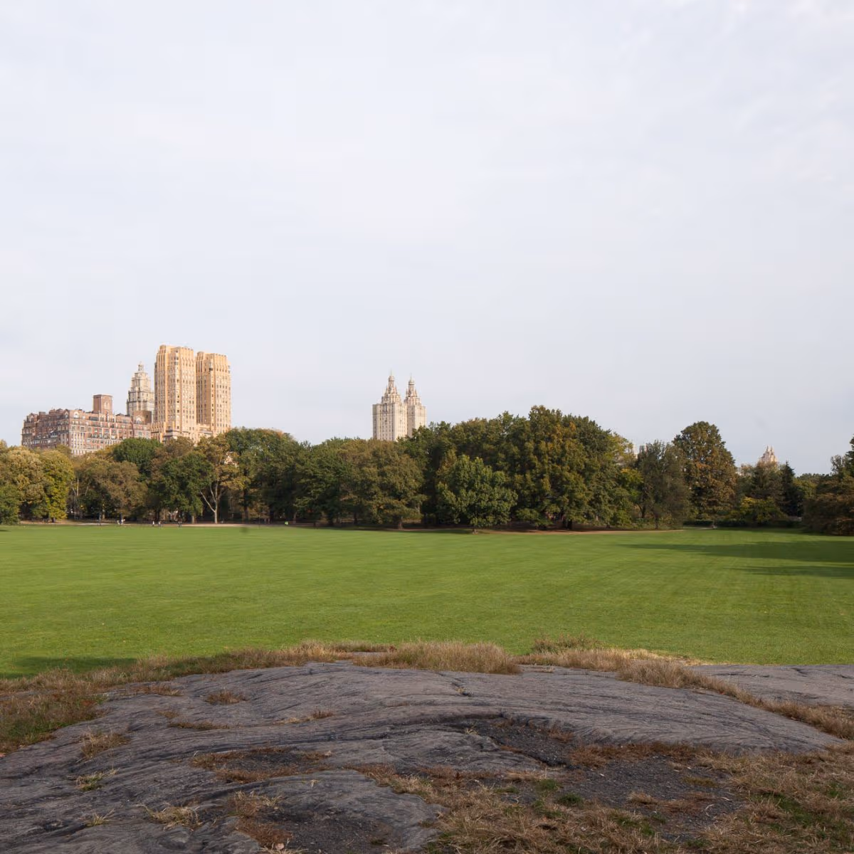 Central Park. Image from NYC LGBT Historic Sites Project.