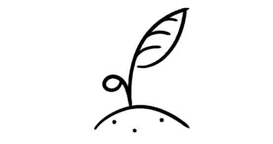 A seedling plant growing out of a mound of dirt.